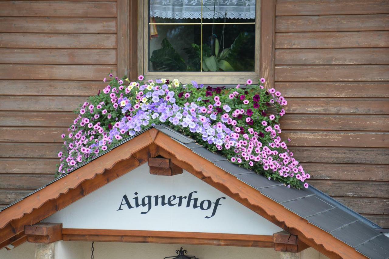 Villa Aignerhof à Haus im Ennstal Extérieur photo