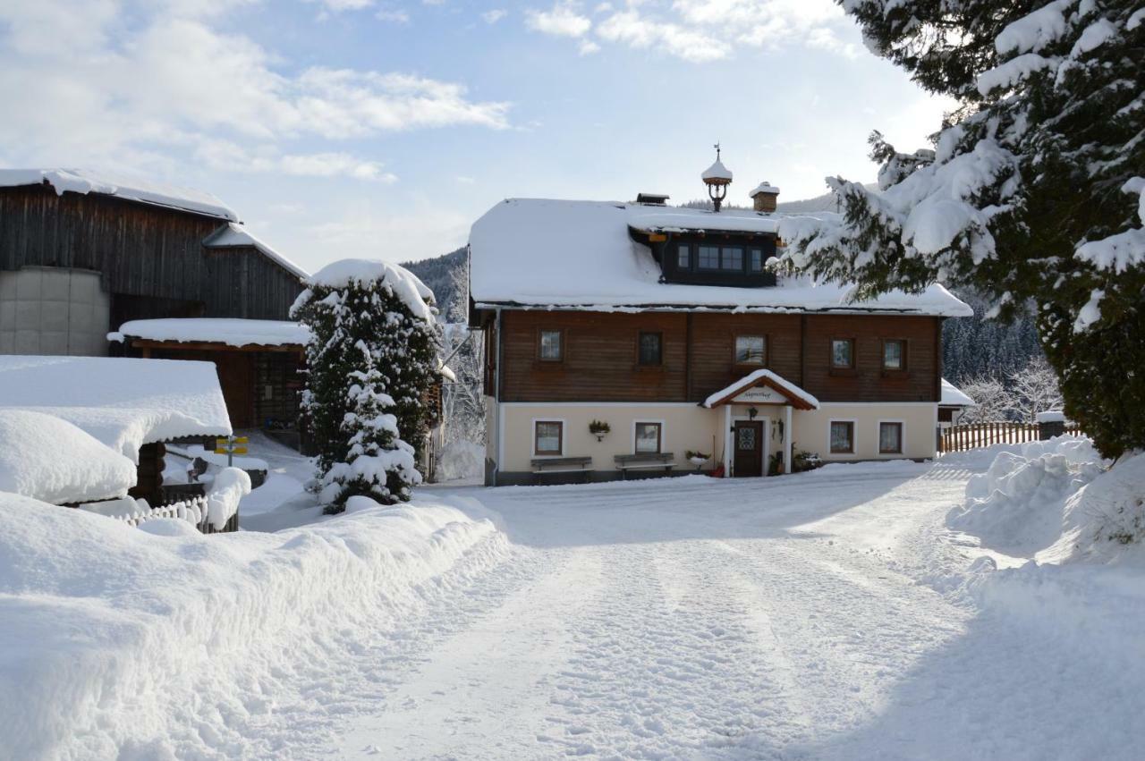 Villa Aignerhof à Haus im Ennstal Extérieur photo